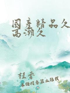 国产精品久久久高潮久