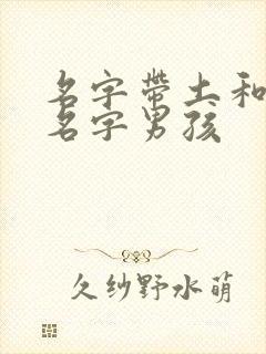 名字带土和金的名字男孩