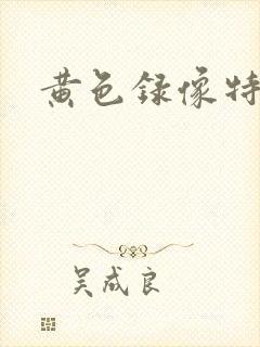 黄色录像特级片