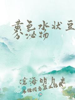 黄色水状豆腐渣分泌物