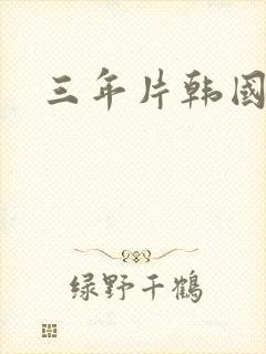 三年片韩国