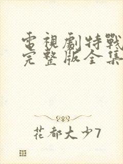 电视剧特战荣耀完整版全集