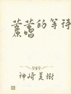 苦苦的等待歌曲原唱