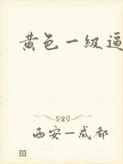 黄色一级逼逼片