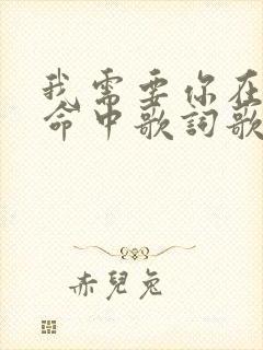 我需要你在我生命中歌词歌谱