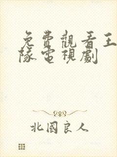 免费观看王牌部队电视剧