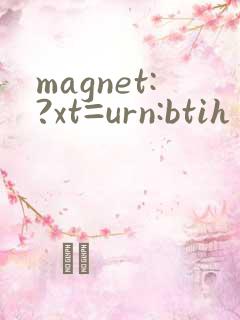 magnet:?xt=urn:btih 探花合集
