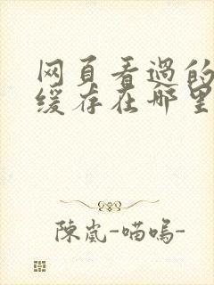 网页看过的视频缓存在哪里