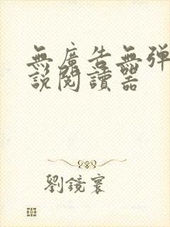 无广告无弹窗小说阅读器