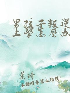 男孩子叛逆不肯上学怎么办