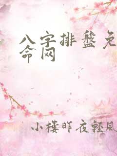 八字排盘免费算命网