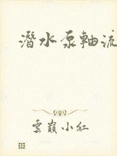 潜水泵轴流泵泵