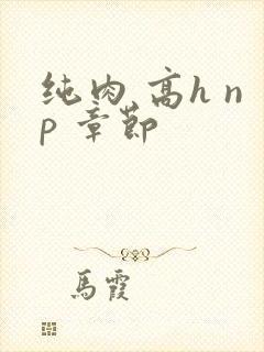 纯肉 高h np 章节