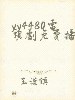 yy4480电视剧免费播放