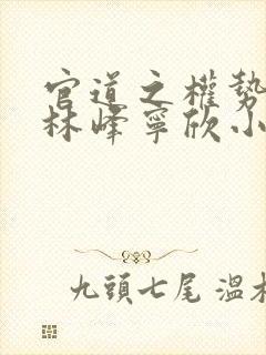 官道之权势滔天林峰宁欣小说聊聊