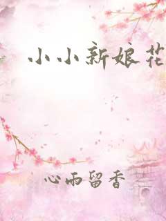 小小新娘花dj