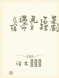 《遇见你是我的宿命》短剧免费观看