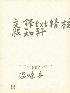 交锋txt精校版知轩