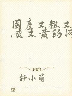 国产又粗又猛又,爽又黄的网站