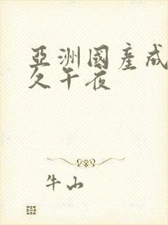 亚洲国产成人久久午夜