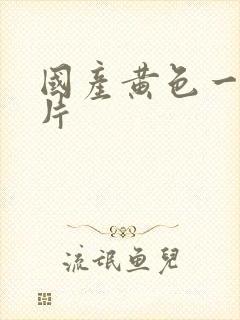 国产黄色一级影片