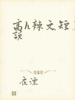 高h辣文短篇小说
