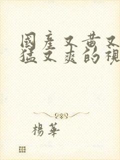 国产又黄又长又猛又爽的视频