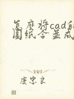 怎么将cad的图纸合并成一个pdf