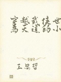穿越武侠世界成为天道的小说