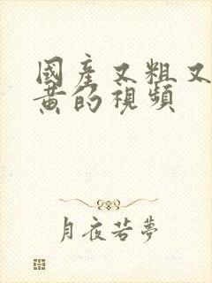 国产又粗又猛爽黄的视频