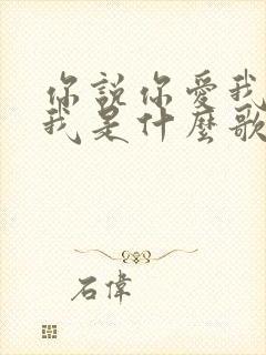 你说你爱我你想我是什么歌