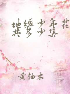 地缚少年花子君共多少集