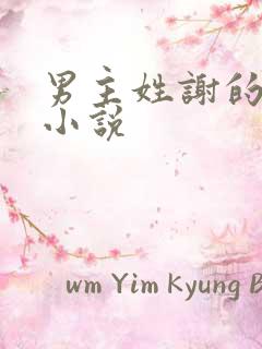 男主姓谢的现代小说