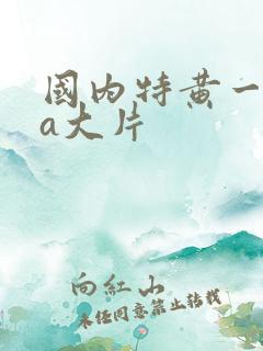 国内特黄一级aa大片