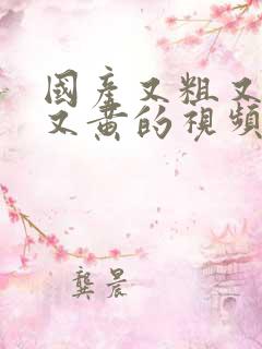 国产又粗又猛爽又黄的视频