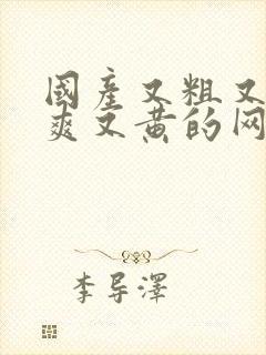 国产又粗又猛又爽又黄的网站