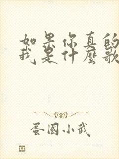 如果你真的心疼我是什么歌