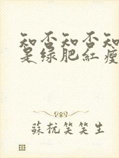 知否知否知否应是绿肥红瘦是什么歌