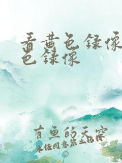 看黄色录像看黄色录像