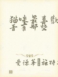 猫咪最喜欢的声音有哪些