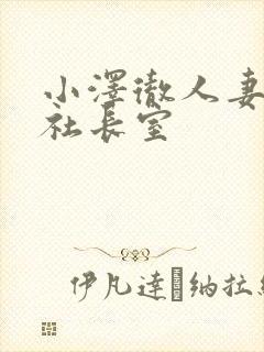 小泽彻人妻秘书社长室