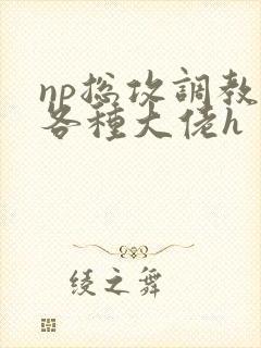 np总攻调教j各种大佬h