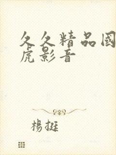 久久精品国产四虎影音