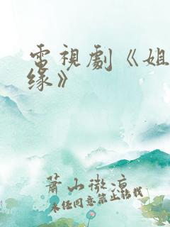 电视剧《姐妹情缘》