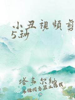 小丑视频剪辑15秒