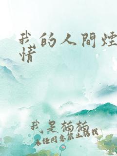 我的人间烟火剧情