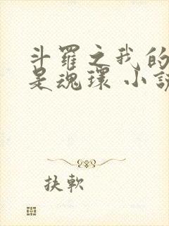 斗罗之我的武魂是魂环 小说