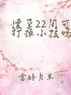 怀孕22周可以打掉小孩吗