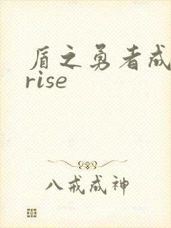 盾之勇者成名录rise