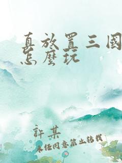 真放置三国新手怎么玩